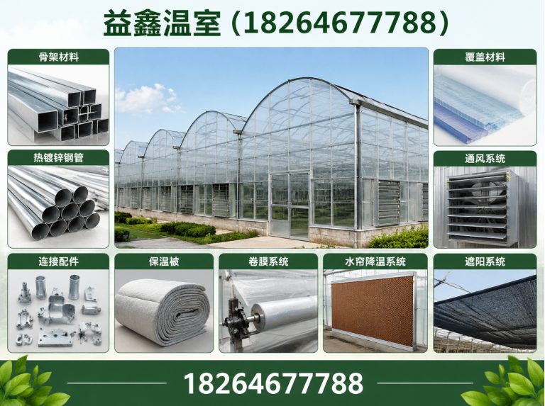 潍坊滨海经济技术开发区无土栽培大棚展示图